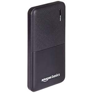 Amazon Basics 10000 mAh Lithium Polymer Power Bank | Dual Input (Type C, Micro USB), Dual Output (2 USB) | Black