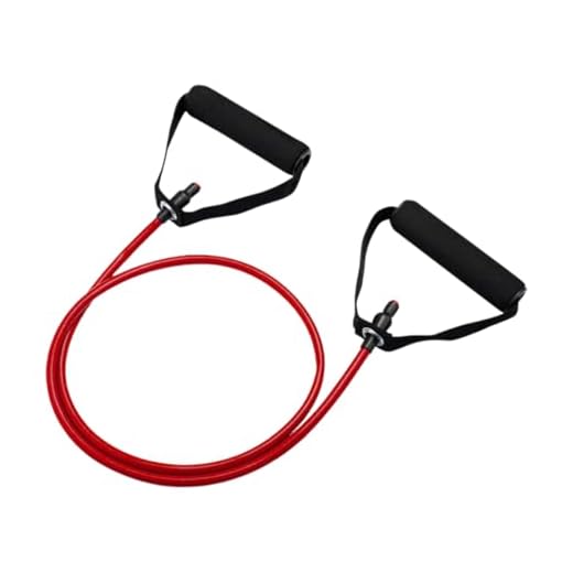 Bandas Elásticas con Asas y Anclajes para Puertas Bandas de Resistencia Fitness para Entrenamiento De Fuerza, Yoga, Pilates