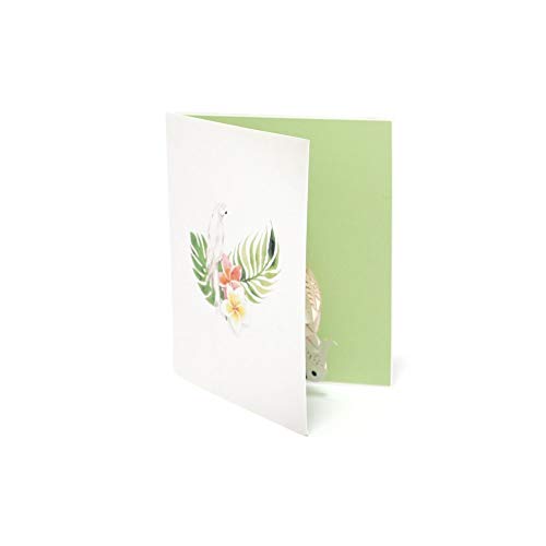 MoreLucky, Biglietto Pop-up con Pappagallo per