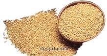 Wheat, Winter, Hard Red, 50# Bulk