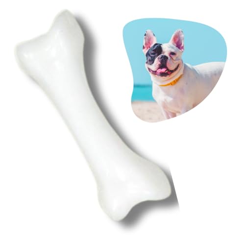 Osso Ultra Resistente de Nylon G Brinquedo Mordedor Para Cachorro Cães Pet - Petmaxx