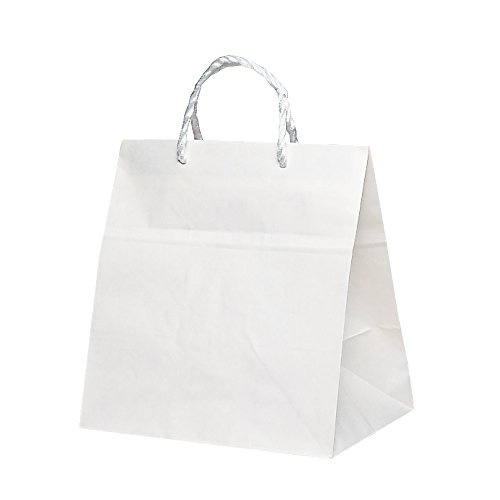 �x���x ��񂰎��� T-���C�h PP�R �����n 100���� 1738