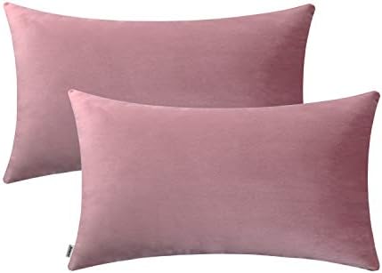 Jeneoo Set of 2 Comfy Soft Thick Velvet Lumbar Throw Pillow Covers for Sofa Couch, Decorative Solid Rectangle Cushion Cases for Bedroom Car (12 x 20 Inches, Dusty Rose)