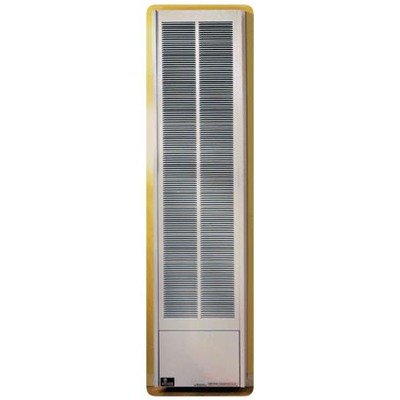 Gravity Wall Furnace Size: 50,000 Btu, Fuel: Natural Gas - Heaters -  Amazon.com