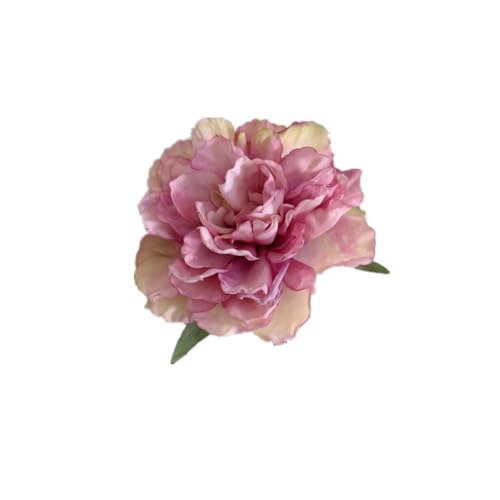 YOEMAYUNER  wANbv lHtH wA ob^ A t[ wAANZT[ uC_ r[` EFfBO wAANZT[ t[(1AP-urple b)