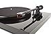 Pro-Ject Debut Carbon DC Turntable with Ortofon 2M Red Cartridge (Gloss White)