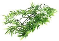 Zoo Med Laboratories SZMBU19 Natural Bushy Madagas Bamboo, Small