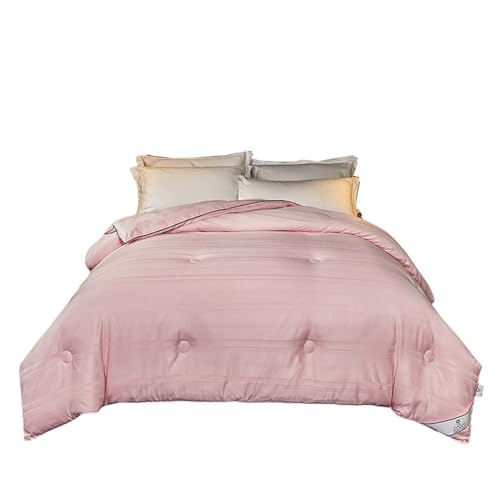 YSUEFIJO Piumino Letto 4 Stagioni, Trapunta Pesante Invernale Autunnale, Piumino Trapuntato in Fibra Antiacaro, Caldo e Soffice Piumino, Coperta Trapunta di Microfibra Sintetico