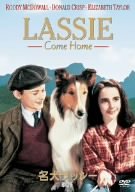 DVD／名犬ラッシー／家路