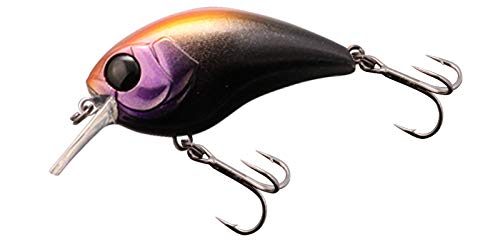 JACKALL ジャッカル MUSHBOB 10セット JACKALL ジャッカル MUSHBOB 10セット JACKALL ジャッカル