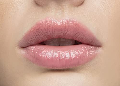 Lique Cosmetics Tinted Hydrating Lip Balm, Lightly Scented, Infused With Coconut & Jojoba Oils, Weightless, Vegan Formula, Vanilla, 0.21 Oz. #TOP2