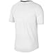 Nike Dri-FIT Miler Men's Running Shor Sleeve Shirts Top (White/Silver, Medium)