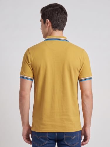 Image of XENOVAURBAN Polo t Shirt for Man | Striped Pattern Mens Cotton Polo Neck T-Shirt with Collar | Regular fit | Breathable and Soft - Polo-Striped-P