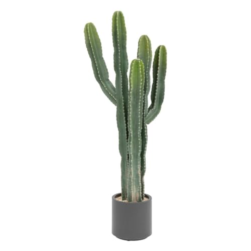 Atmosphera - Cactus Exotic Panama h117cm Vert