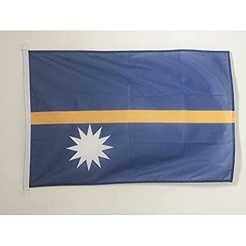 AZ FLAG - Drapeau Nauru - 45x30 cm - Pavillon Nautique Nauruan Spécial Bateau Et Extérieur En Maille Bloquée Avec Anneaux Plastiques Intégrés - 30g