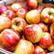WBBM Noon Business Hour - Apple Orchards & Pumpkin Patches