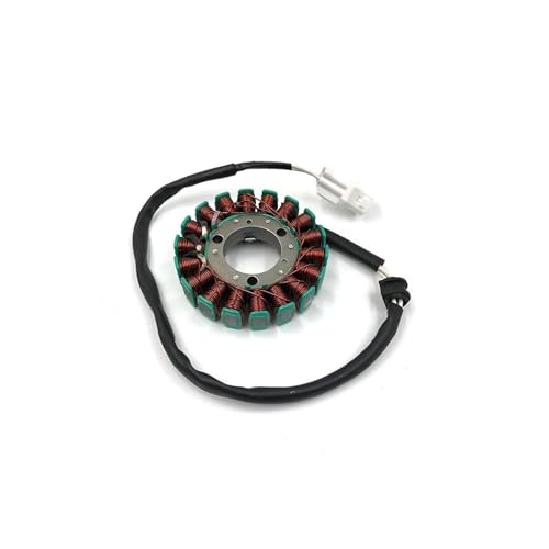 Kit faisceau d'allumage pour HENGJIAN 2 Temps 250 HJ250H avec bobine complète