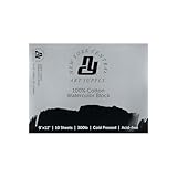 New York Central Watercolor Block, 300 lb Cold Press 9x12 inch, 10 Sheets, Archival Watercolor Paper for Artists, Students, Gelatin Sized, Durable Water Color Paper, Suitable for Wet and Dry Media