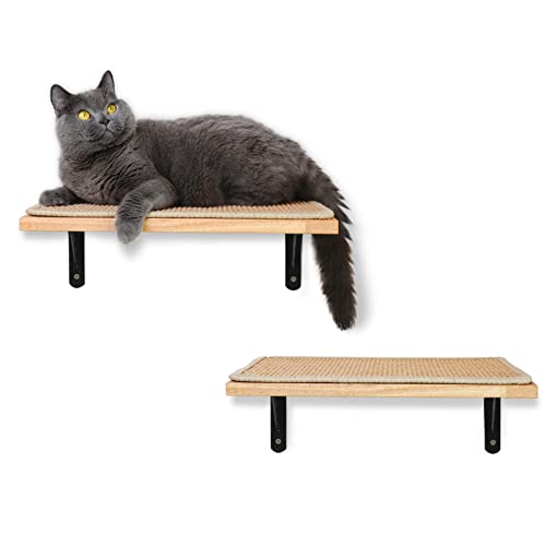 FUKUMARU Cat Wall Shelves, Cat Walls Furniture with Soft Bed, Solid Rubber Wood Floating Shelf, Kitten Window Perch for Sleeping, Playing and Scratching