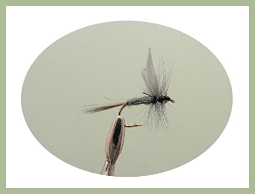 Set de pêche contenant40 appâts en Forme d’éphémères Mouches nymphes etc. pour pêche à la Mouche