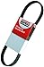 815L8 Bando Replacement Serpentine Belt, 1 Pack