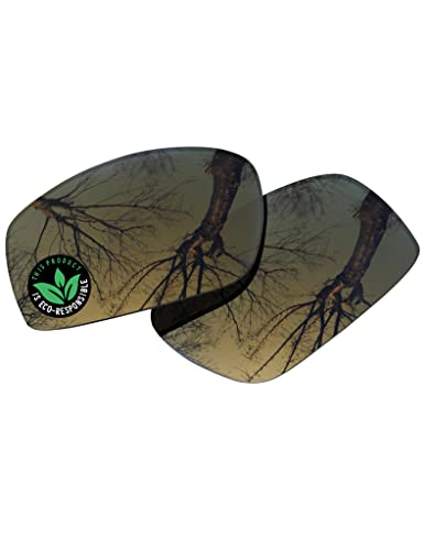 Image of Raydi Polycarbonate Replacement Lenses for Wiley X Valor Sunglass
