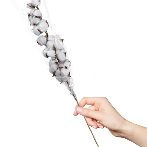 Hampton Art HMTFN0002 Cotton Stem, 26 1/8", Cotton Stems Decor Branches, Cotton Decor, Cotton Stems, Cotton Flowers thumb #2