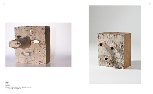 Lois Weinberger: (E/ G) (Zeitgenössische Kunst)