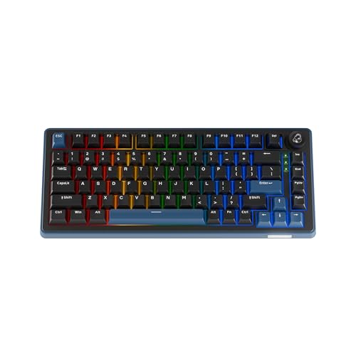 Ducky OK-M - 75% Wireless Mechanical Gaming Keyboard...