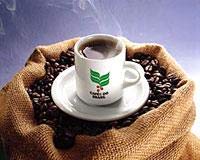 uWEXgOro QOO (̂܂) t`[Xg lR|X͂䂤pPbgz