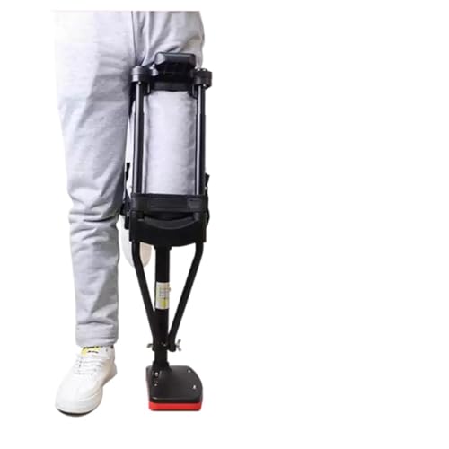 Ҍs c\ȕGsAБLksA~ߏt ̍܁APAӂ͂ssAϋv̂ړ⏕p̕GpБt (Right)