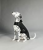 Kentucky - Hundemantel - Schwarz - M - 44-50cm