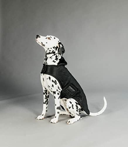 Kentucky - Hundemantel - Schwarz - Dackel - 40cm
