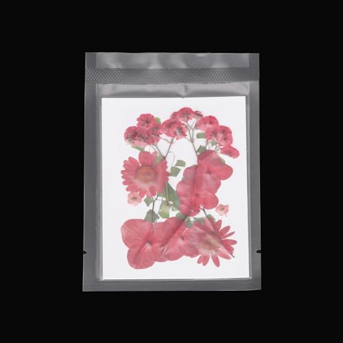 Flores secas prensadas naturales para manualidades miniatura 4