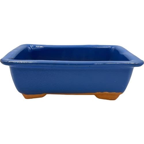 Francacor Maceta Terrina Bonsai Barro Esmaltado Colores 21.5 X 14.5 X 7 Cms, Azul Francacor Maceta Terrina Bonsai Barro Esmaltado Colores 21.5 X 14.5 X 7 Cms, Azul