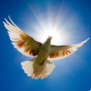 How to be Led by the Holy Spirit Pt 03