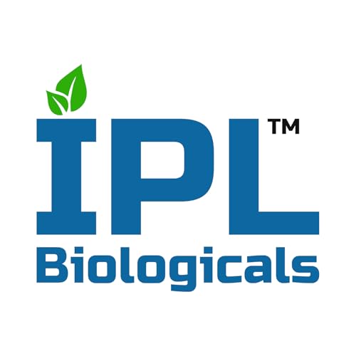 Kalichakra- 1Kg 1.0% W.P.- Metarhizium Anisopliae,Bioinsecticides,Effective Control of Root Grub, Termites & Sucking Pests