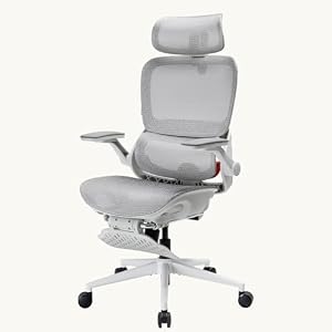 Chaise Bureau Maille Ergonomique Support Dorsal 4D Sihoo B100 Pro