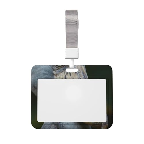 [ACHVAC] IdJ[hz_[ 킢nVrRE l[z_[ Dz_[ ^ | J[hP[X pXP[X  Ј D h ʋ ʊw jp v[g