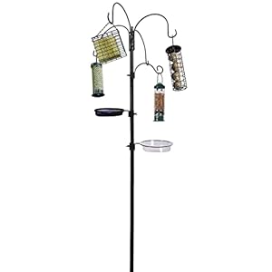 Hyfive Wild Vogel Voeden Station Kit Multi Feeder Met Zaad Lade Vogel Opknoping Feeders Vogel Water Bad 240 cm 4 Pool Poeder Met een laag bedekt