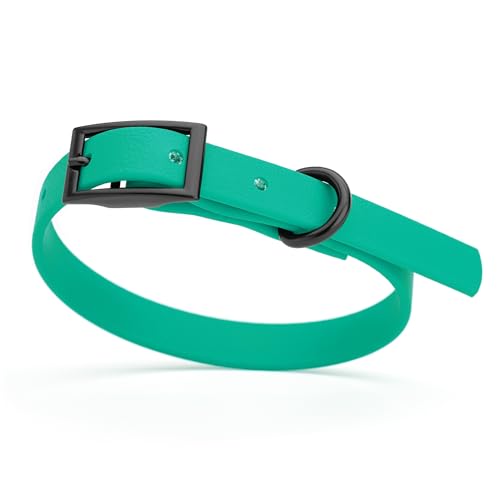 Image of Dogline Biothane Waterproof Dog Collar Strong Coated Nylon Webbing with Black Hardware Odor- Proof for Easy Care Easy to Clean High Performance Fits Small Medium or Large Dogs, Teal