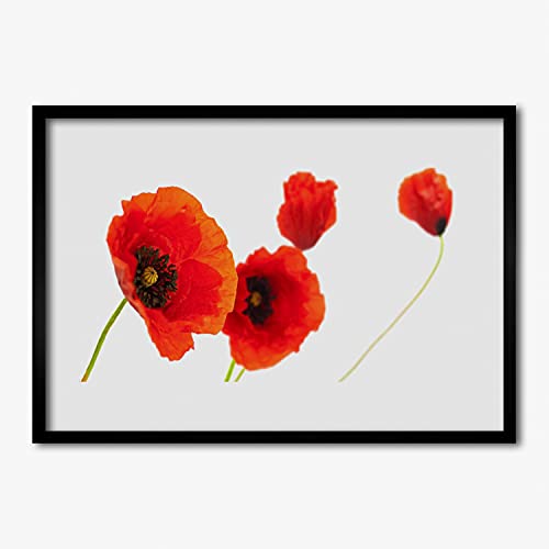 Cadre en MDF 70x50 cm de qualité supérieure avec affiche botanique Tulup