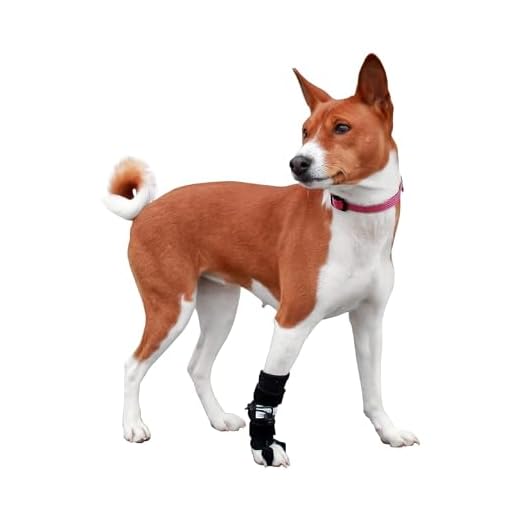 Front No-Knuckling Training Sock | Helps Dogs Pick up Their Feet When Knuckling Under or Dragging Their Front Paws