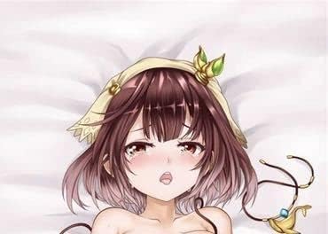 ソフィーのアトリエ ソフィーノイエンミュラー 抱き枕カバー 抱き枕 Www Qbusinessmagazine Com