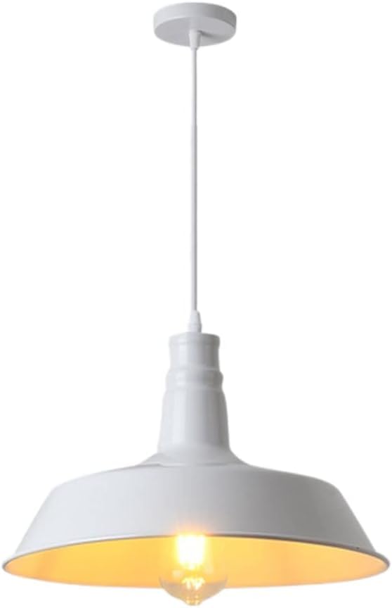 Lustre industriel vintage QTHWB en métal coloré pour boutique et salon