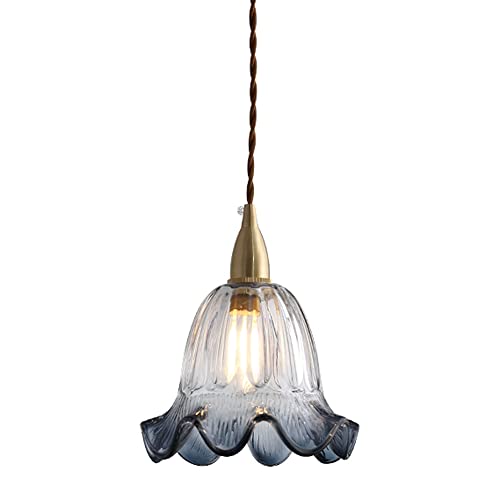 Suspension en verre fumé lustre laiton plafonnier lampe suspendue vintage japonaise 21cm