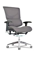 Algopix Similar Product 9 - Healthy Back X Chair Office Desk Chair
