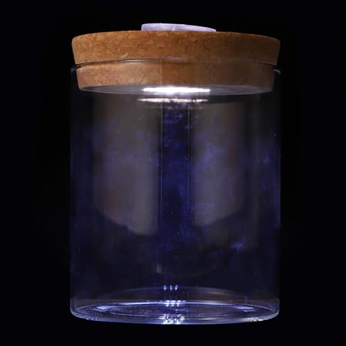 COOLHIYA ~jANAE{g zEPC_KX`}CNhXP[vԕr Ɩt ȃCeA ӂItB