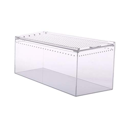 POPETPOP Caja Terrarios De Transparente De Terrario De Reptiles Terrario Caracoles Mini Terrario Gecko Terrario De Lagarto De Cría De Recinto De Tarántula Viajar Pequeña Tanque Acrílico