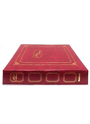 Natraj Original Vinyl Leather Cover Album with 0.6 mm Thick Extra Clear PVC Film, 200 Pocket (Photo Size Supported: 5x7 ft), Medium, Brown And Dark Brown